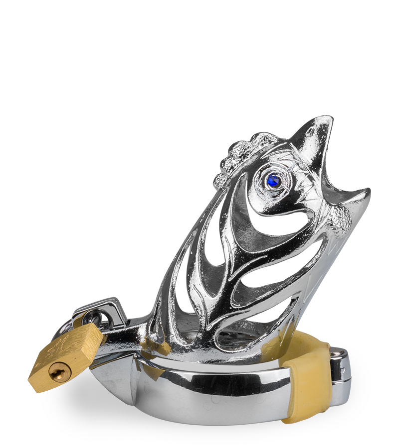 Cage de chasteté homme astrologie chinoise Coq