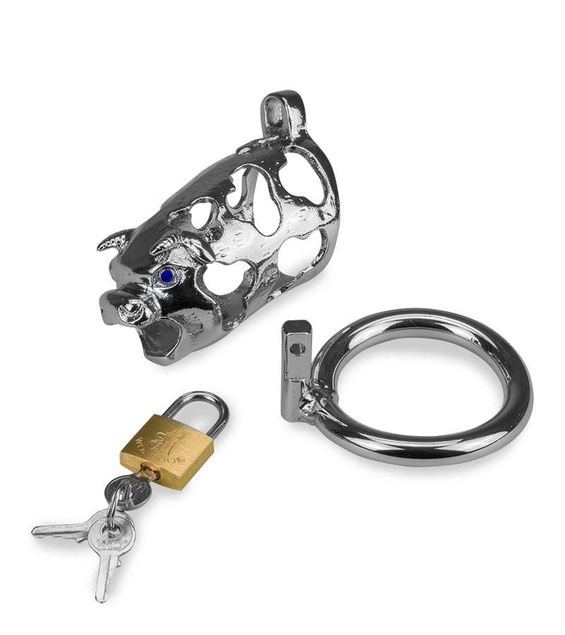 Cage de chasteté pénis astrologie chinoise Buffle