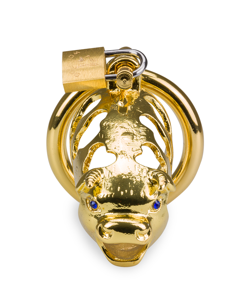 Cage de chasteté pénis astrologie chinoise Buffle Doré