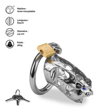 Charger l&#39;image dans la galerie, Cage de chasteté pénis astrologie chinoise Cochon