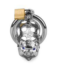 Charger l&#39;image dans la galerie, Cage de chasteté pénis astrologie chinoise Cochon