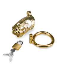 Charger l&#39;image dans la galerie, Cage de chasteté pénis astrologie chinoise Cochon Doré