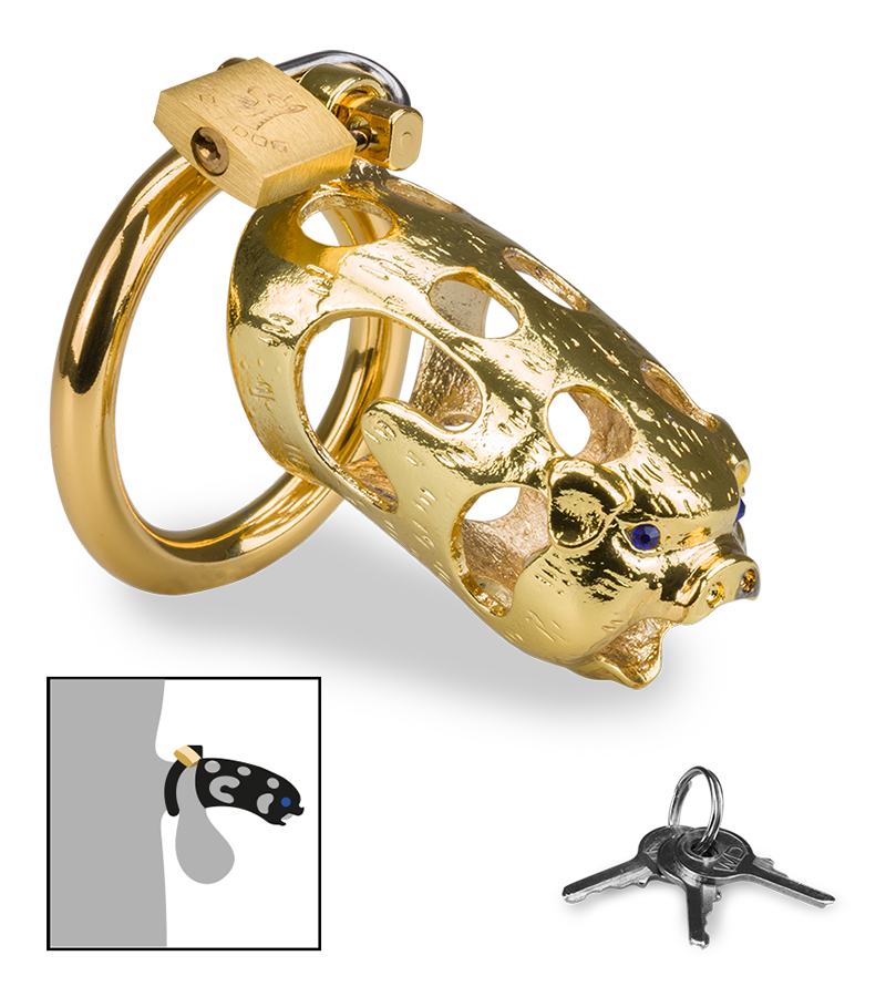 Cage de chasteté pénis astrologie chinoise Cochon Doré