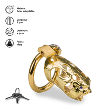 Charger l&#39;image dans la galerie, Cage de chasteté pénis astrologie chinoise Cochon Doré
