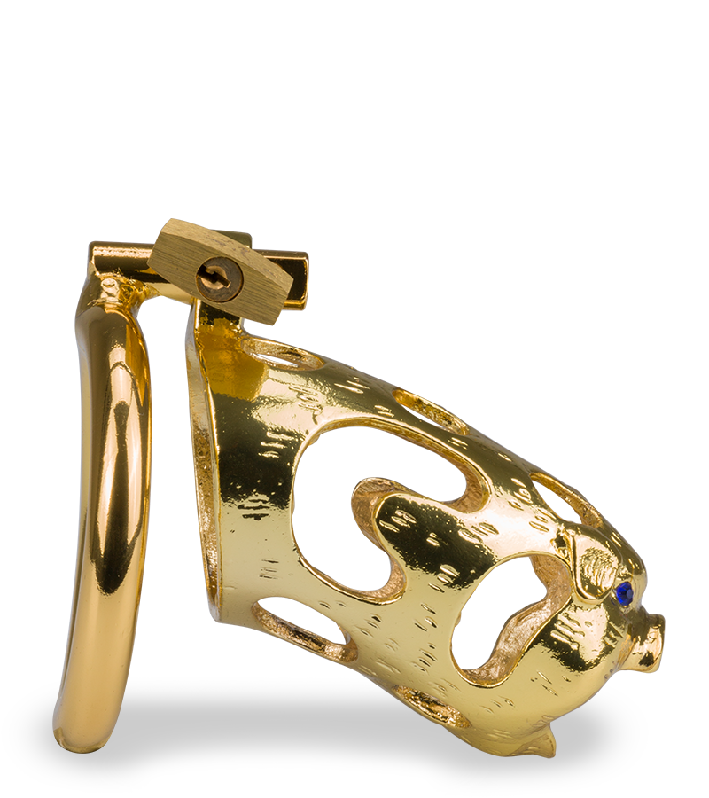 Cage de chasteté pénis astrologie chinoise Cochon Doré