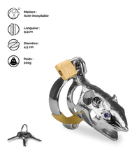 Charger l&#39;image dans la galerie, Cage de chasteté pénis astrologie chinoise Rat