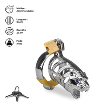 Charger l&#39;image dans la galerie, Cage de chasteté pénis astrologie chinoise Tigre