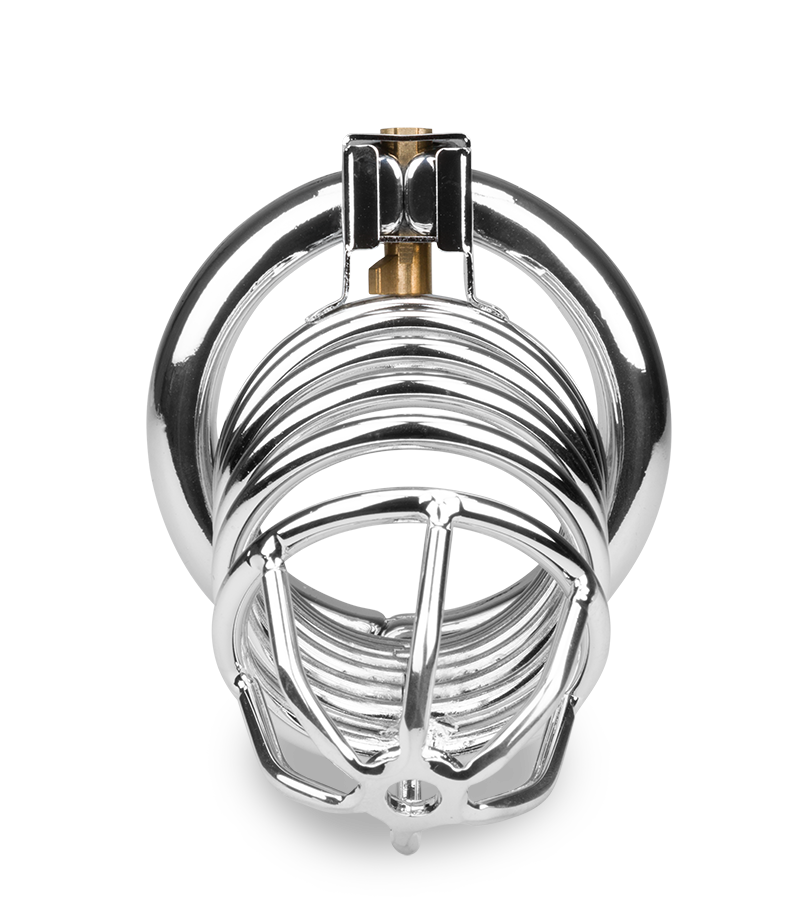 Cage de chasteté pénis Capture