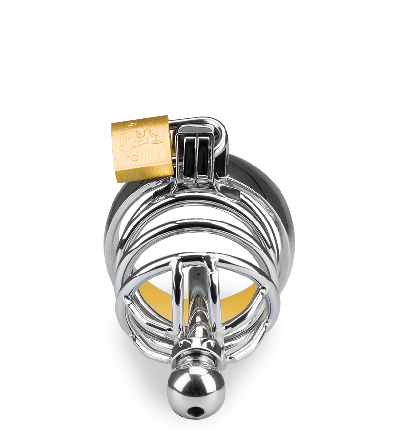 Cage de chasteté pénis et plug d&#039;urètre Alcatraz