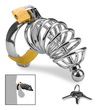 Charger l&#39;image dans la galerie, Cage de chasteté pénis et plug d&#039;urètre Guantanamo