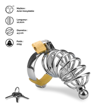 Charger l&#39;image dans la galerie, Cage de chasteté pénis et plug d&#039;urètre Guantanamo