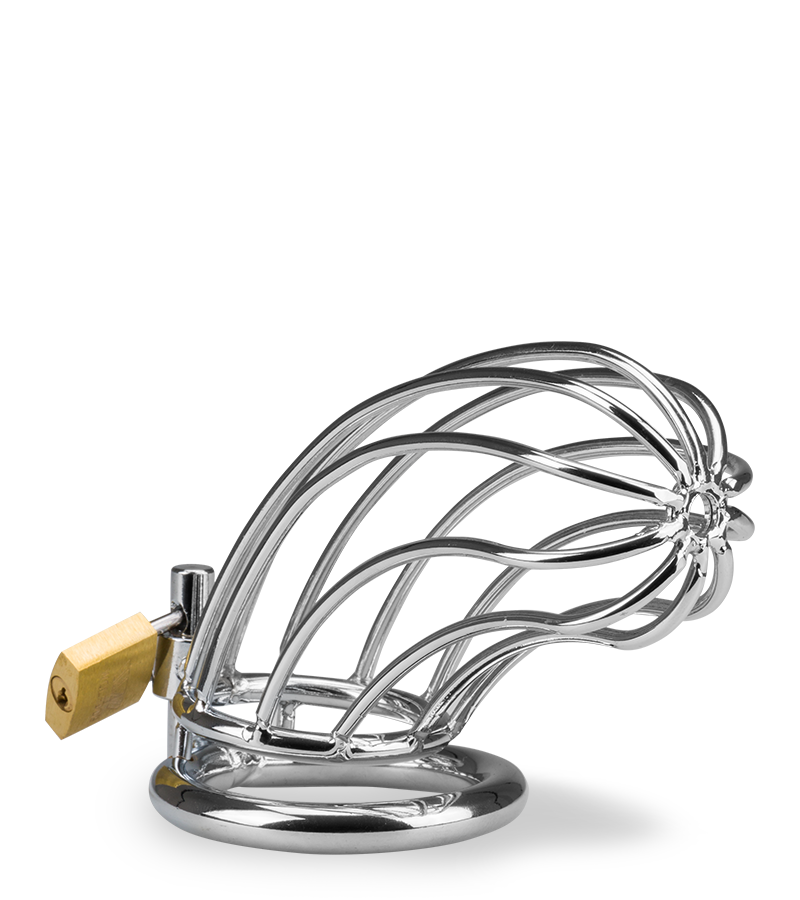 Cage de chasteté pénis Sentence