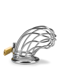 Charger l&#39;image dans la galerie, Cage de chasteté pénis Sentence