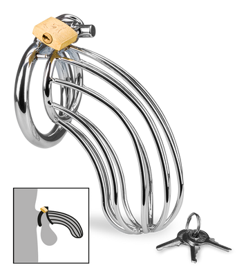 Cage de chasteté pénis Sentence