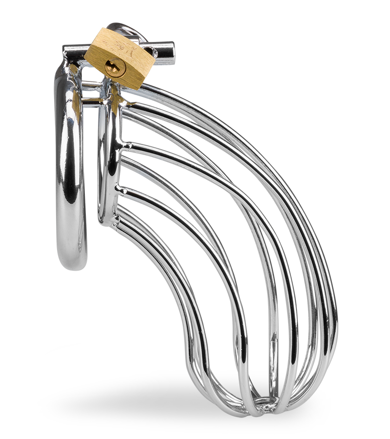 Cage de chasteté pénis Sentence