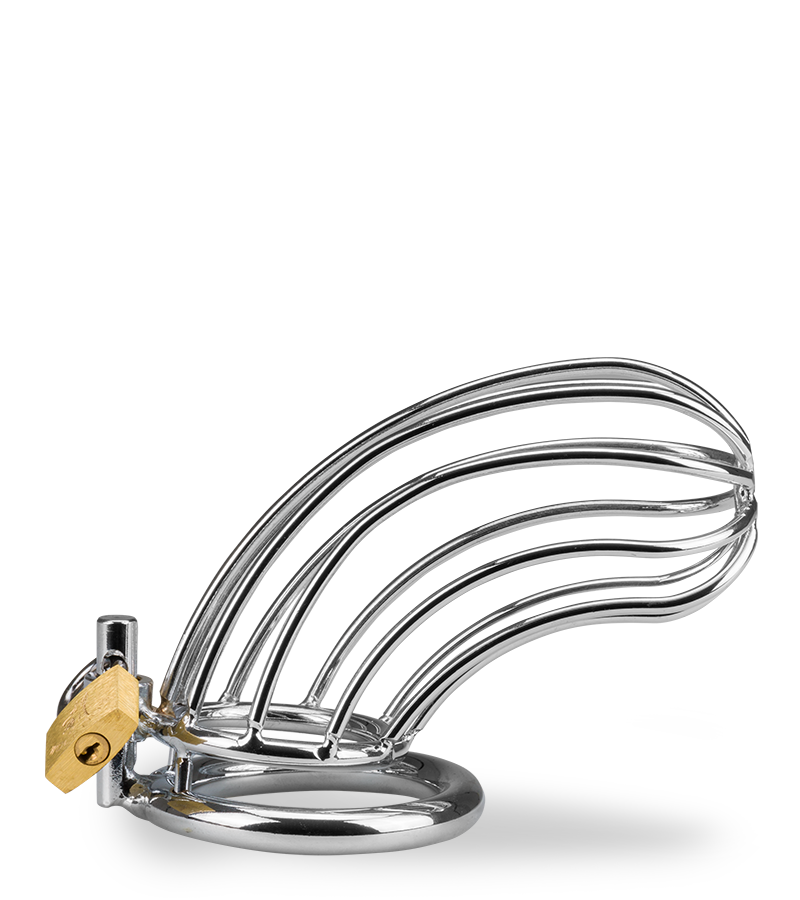 Cage de chasteté pénis Sentence