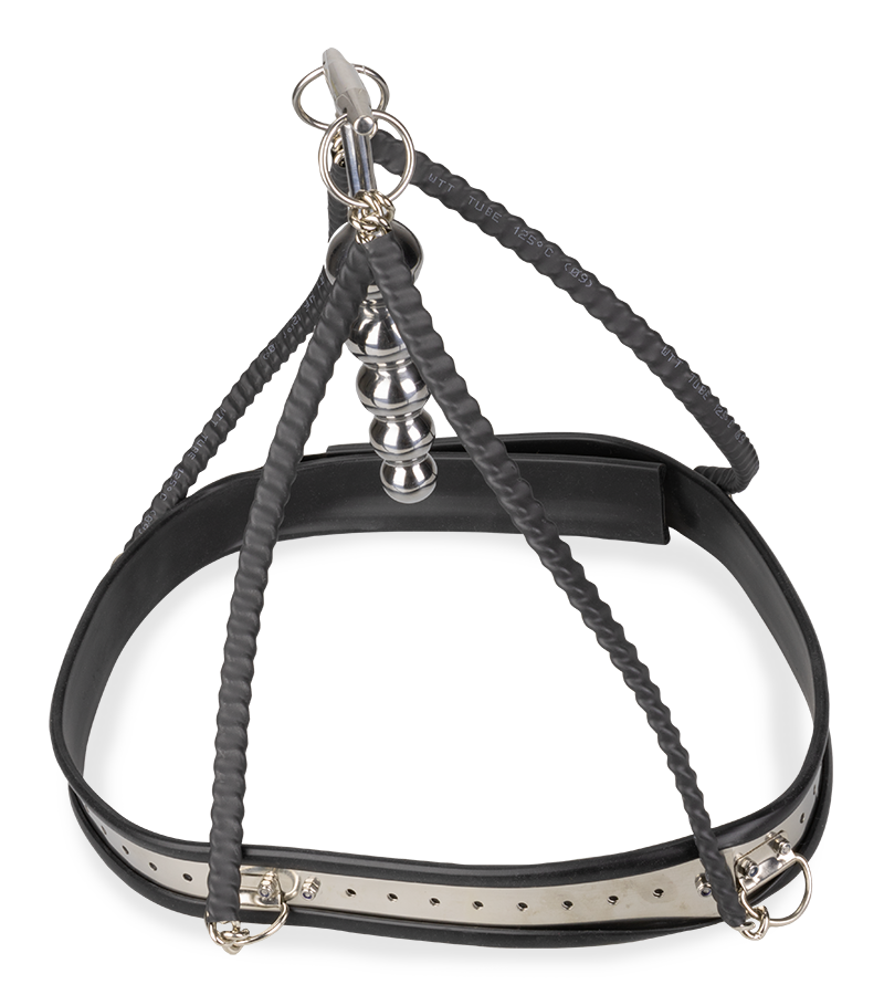 Ceinture de chasteté pour anus Taken