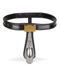 Charger l&#39;image dans la galerie, Ceinture de chasteté pour homme Enclosed