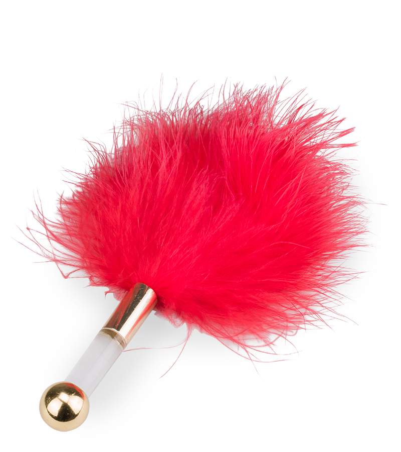 Coffret BDSM élégant 8 pièces