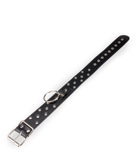 Charger l&#39;image dans la galerie, Collier BDSM rivets et anneaux avec laisse