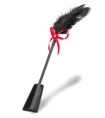 Cravache BDSM et plumeau 2-en-1