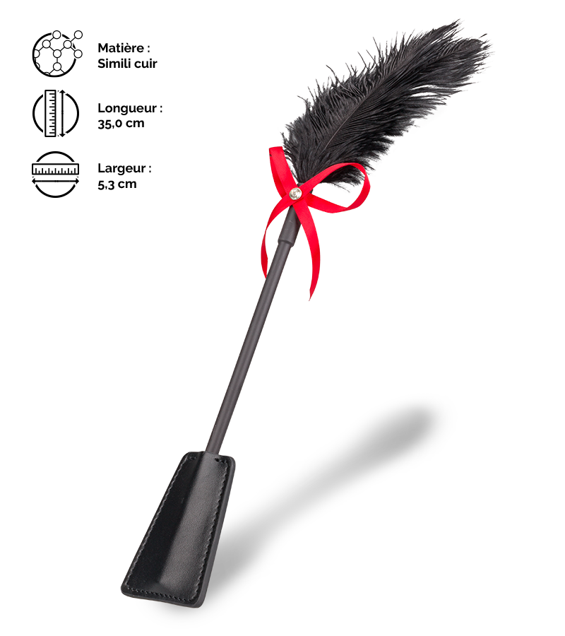 Cravache BDSM et plumeau 2-en-1