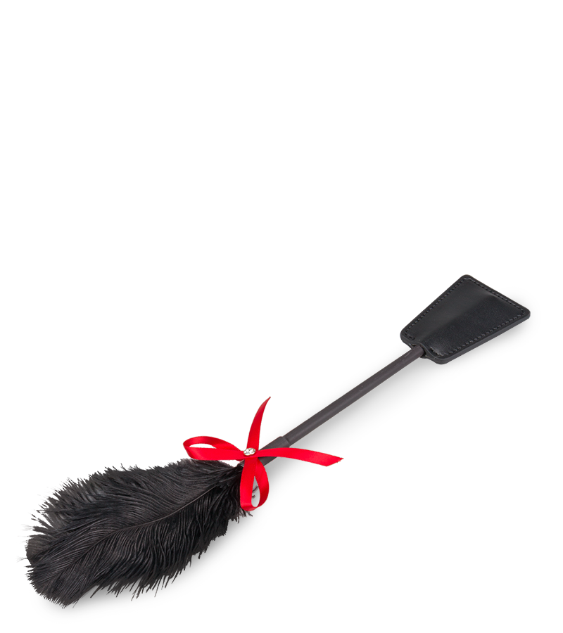 Cravache BDSM et plumeau 2-en-1