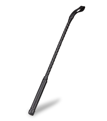 Cravache BDSM Zatanna