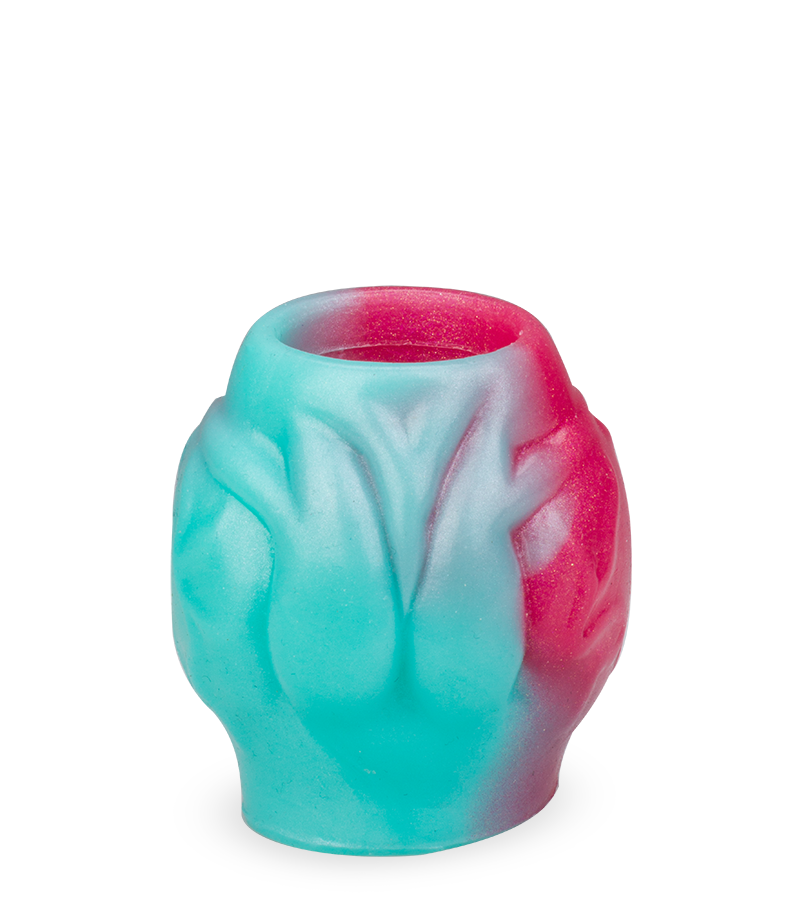 Étui pénien avec bulbe érectile chien