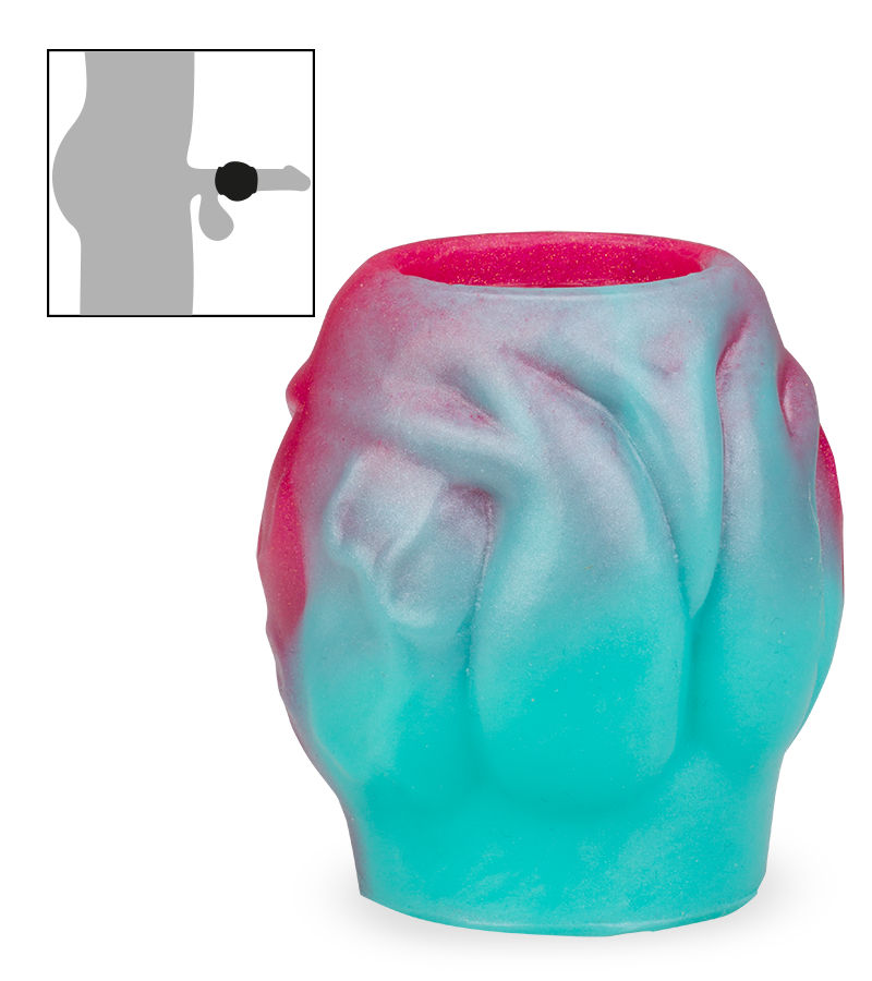 Étui pénien avec bulbe érectile chien