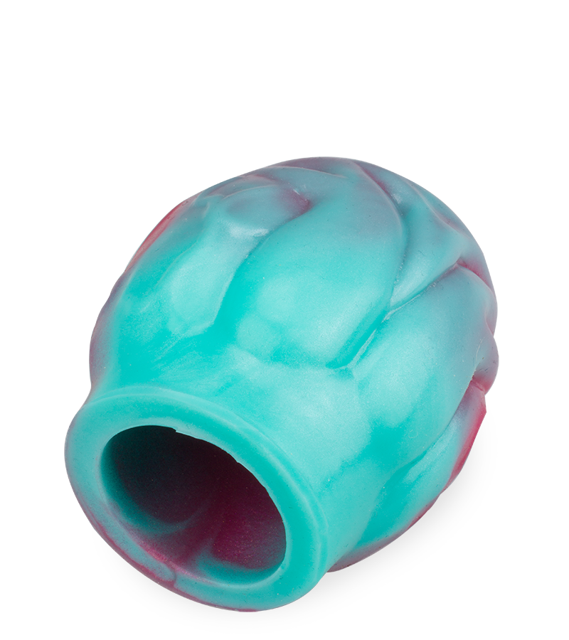 Étui pénien avec bulbe érectile chien