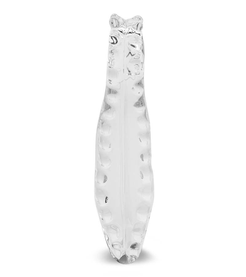 Gode en verre Tentacule