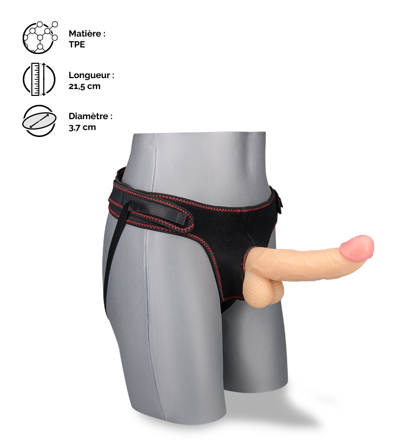 Gode réaliste courbé avec harnais Chief