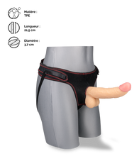 Charger l&#39;image dans la galerie, Gode réaliste courbé avec harnais Chief