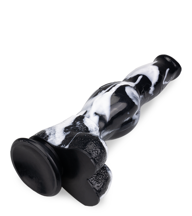 Gode ventouse chien Dobermann