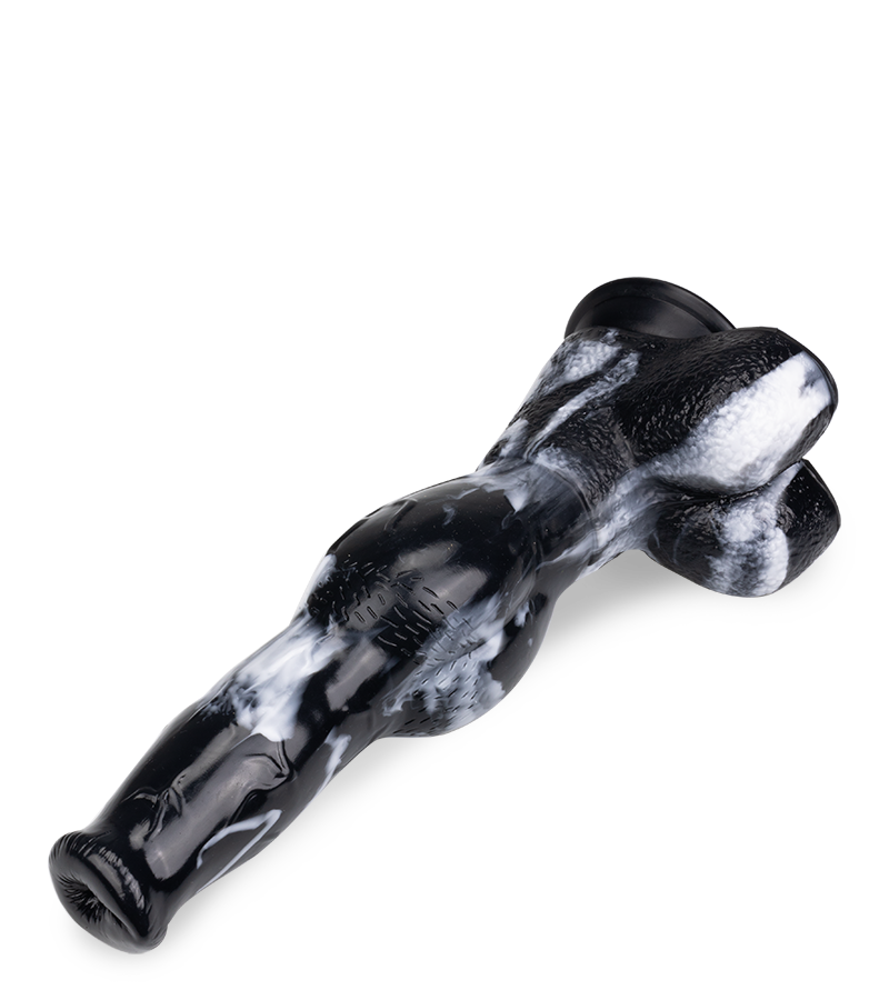 Gode ventouse chien Dobermann