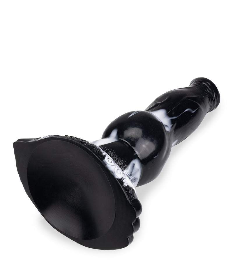 Gode ventouse chien Golden Retriever