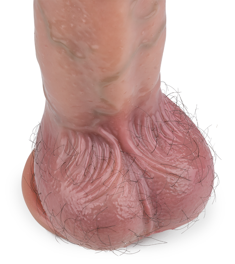 Gode ventouse poilu Brian 17,3cm