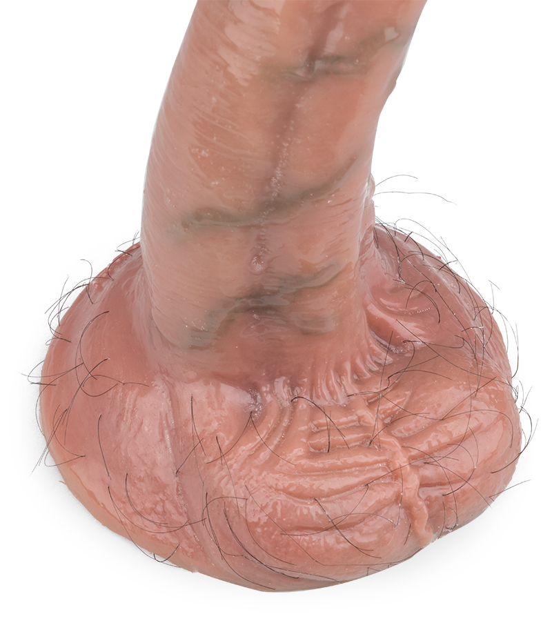 Gode ventouse poilu Lenny 15,0cm