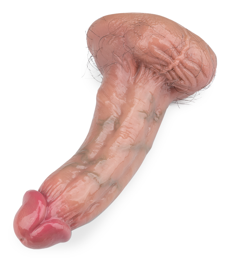 Gode ventouse poilu Lenny 15,0cm