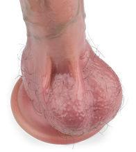 Charger l&#39;image dans la galerie, Gode ventouse poilu Ruben 15,8cm