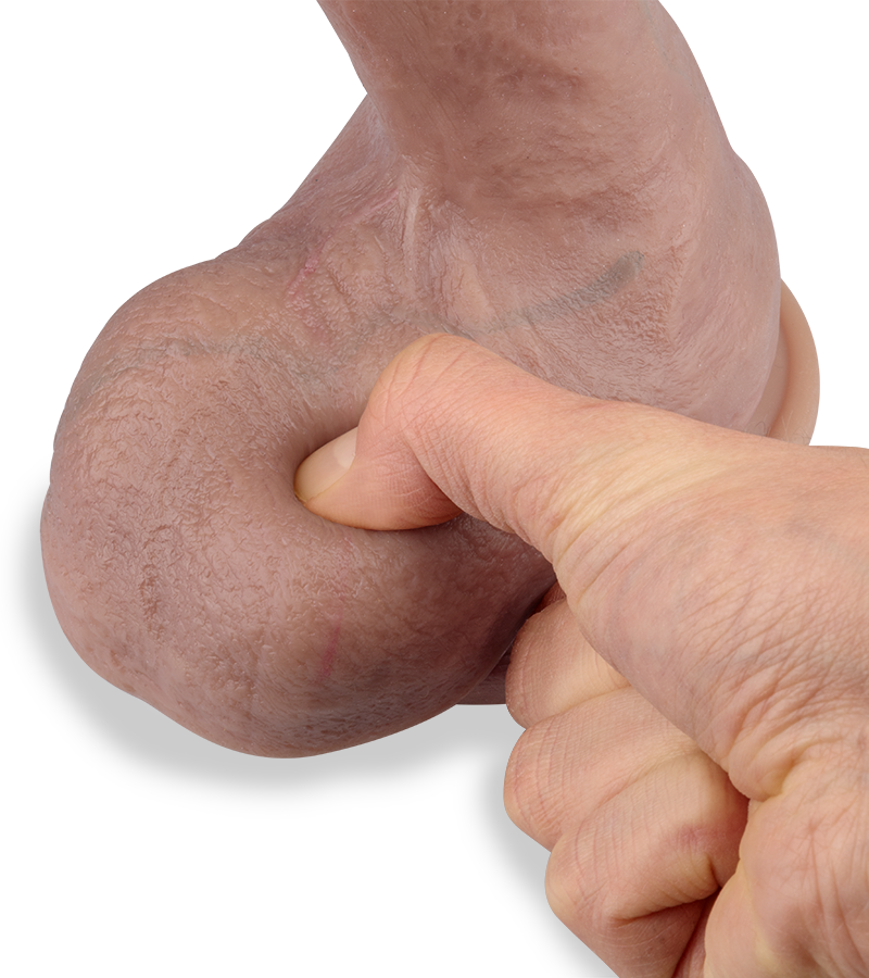 Gode ventouse très réaliste 27,0cm Platinum