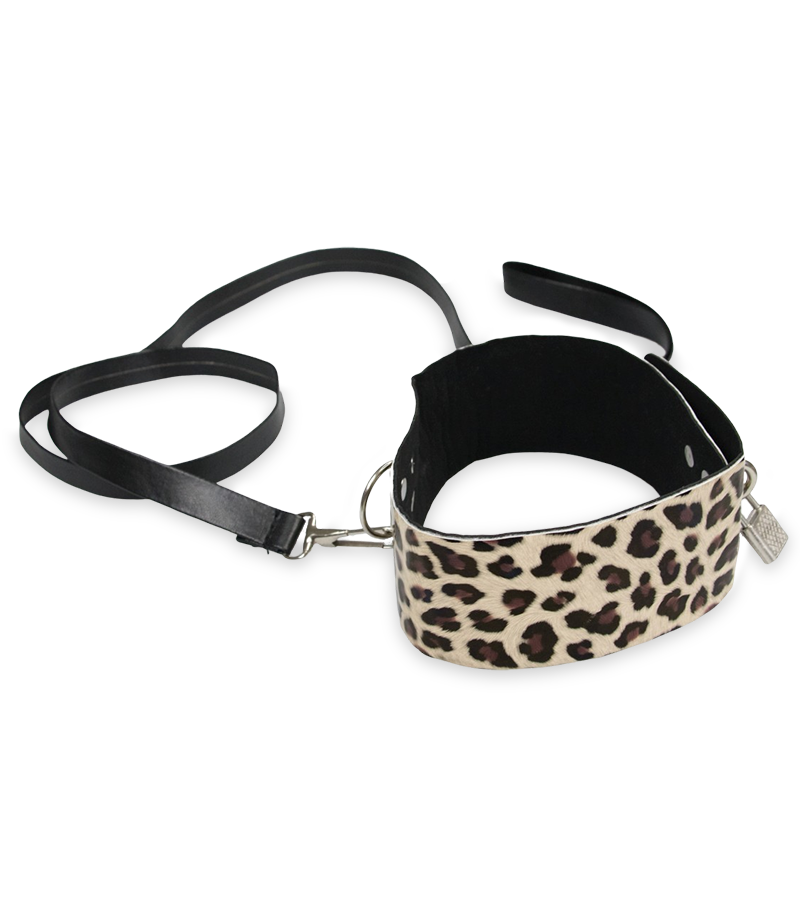 Kit jouets et accessoires bdsm 11 pièces