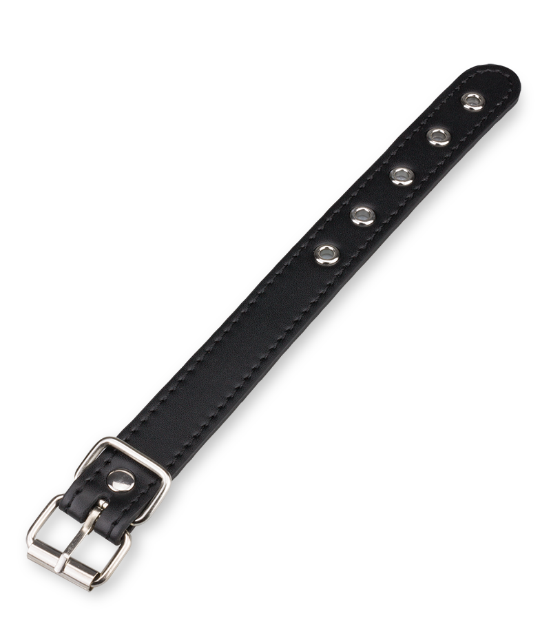 Laisse Cuir BDSM Pour Pénis