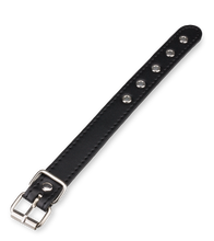 Charger l&#39;image dans la galerie, Laisse Cuir BDSM Pour Pénis