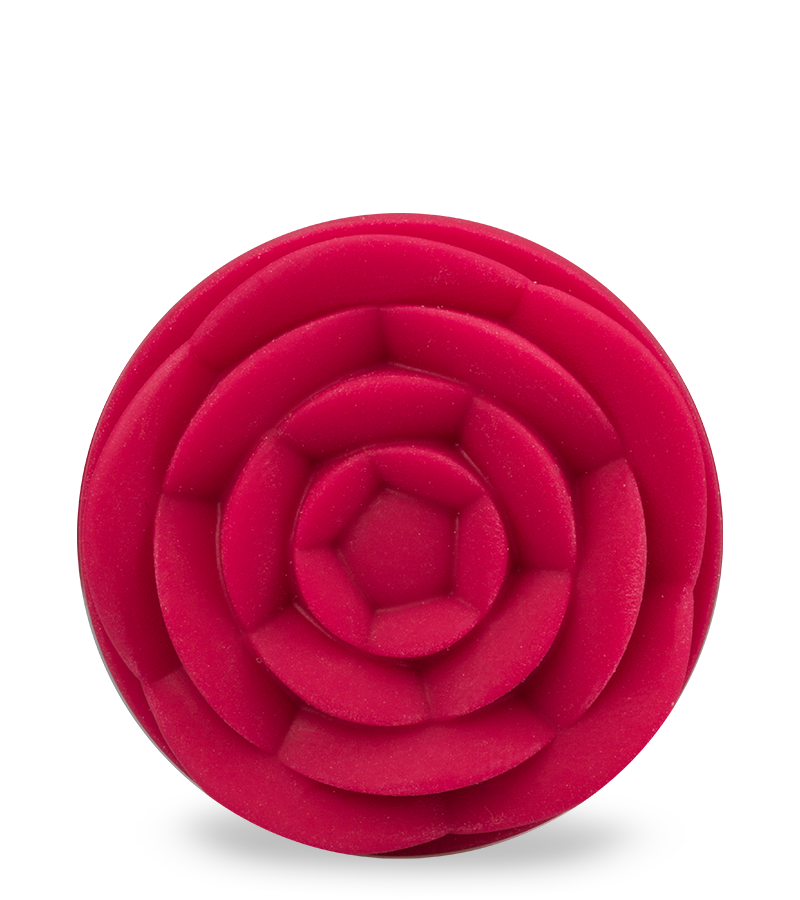 Lot de 3 plugs en silicone Forever