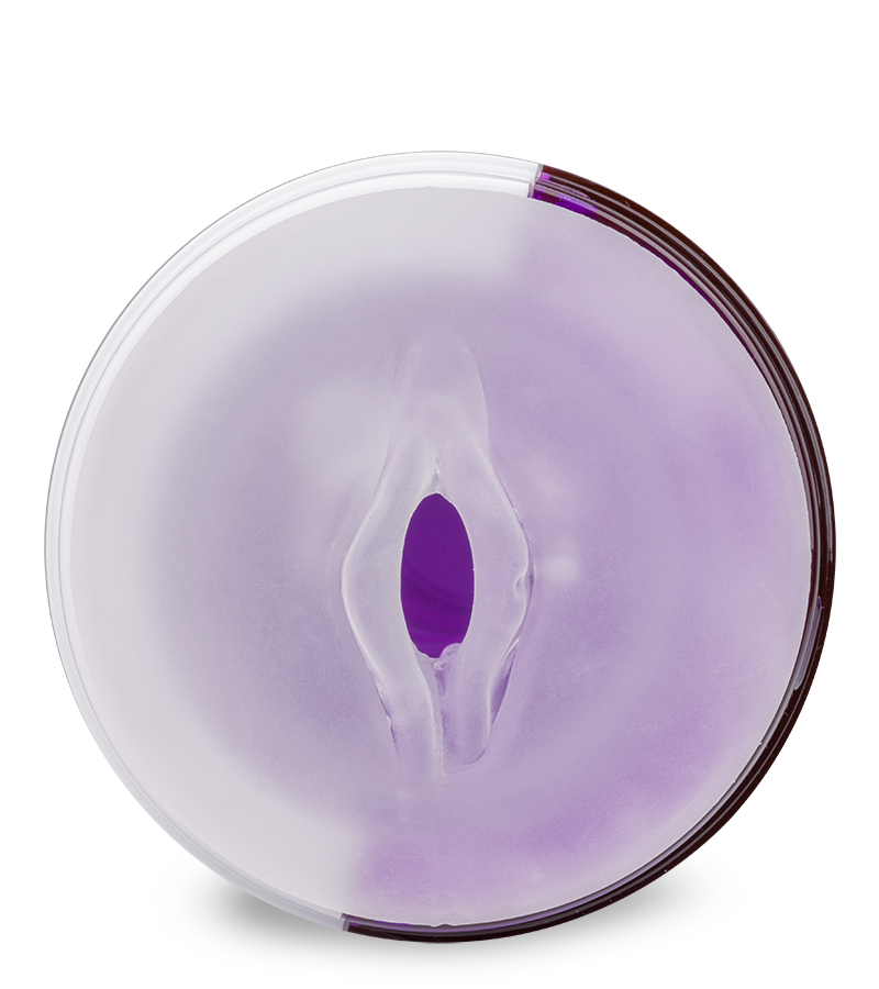 Masturbateur Imperial va-et-vient 10 vitesses