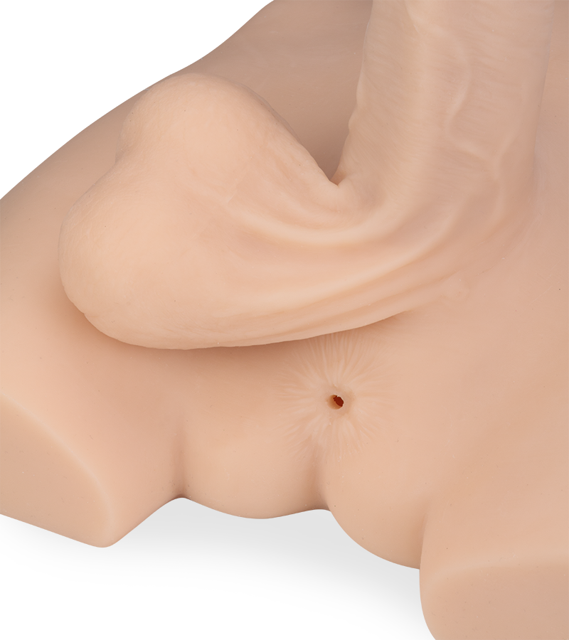 Masturbateur réaliste pénis et anus Aaron 3,6kg