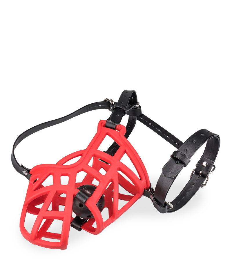 Muselière avec gag-ball amovible