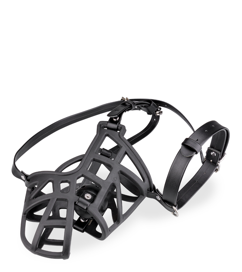 Muselière avec gag-ball amovible